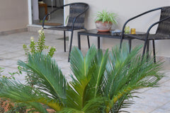 A wonderful Ground floor apartment in a quite building, only 2 kilometers from t Athens, Greece House by the Aqueduct Entire rental unit vacation rental 26700943