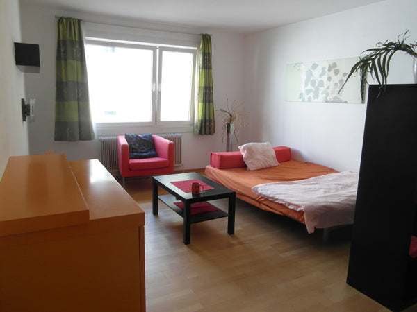 My place is very near from Hauptbahnhof Wien ( Central station). Walking distanc Vienna, Austria Huge private room near to central train station Private room in rental unit vacation rental 14230598