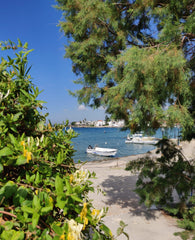 Vrahakia is a cosy little house with a rocky garden and spectacular seaview. The Chania, Greece Vrahakia Apartment #1 at Marina Galatas Entire rental unit vacation rental 668741145302242935