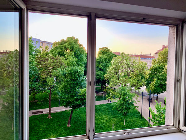 Private room in a Flat- Share-Apartment for Expats and Travellers who come to Vi Vienna, Austria New in Vienna? Connect to new people! Private room in bed and breakfast vacation rental 630990502243537822
