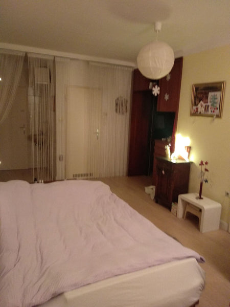 Hi!  This is an Opportunity for Valentine's and Carnival's Weekend only!!<br />L Vienna, Austria February-only offer Shared room in rental unit vacation rental 41170092