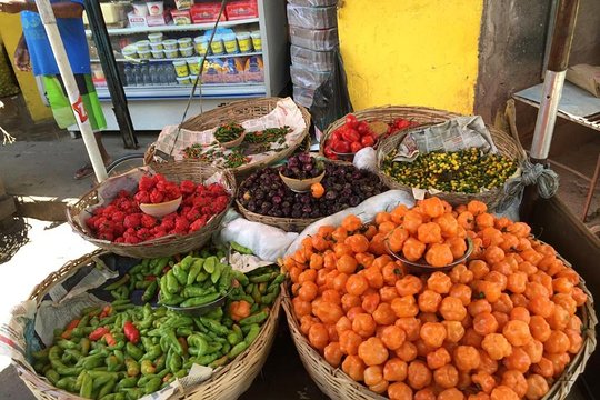 Discovery of the Lower City  Salvador authentic  with LUNCH  Private Tours and Travel Guide America Bahia CITY Salvador da Bahia Destination Tour