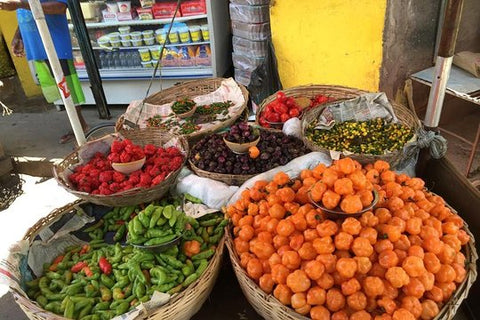 Discovery of the Lower City  Salvador authentic  with LUNCH  Private Tours and Travel Guide America Bahia CITY Salvador da Bahia Destination Tour America Bahia CITY Salvador da Bahia