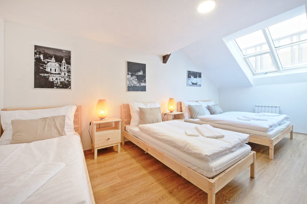 SPACIOUS, COMFORTABLE AND FULLY EQUIPPED APARTMENT WITH LIFT, <br />2 BEDROOMS,2 Prague, Czechia 3 ROOMS MEZONET FOR 8-10 PAX CENTRAL PRAGUE Entire loft vacation rental 10530935