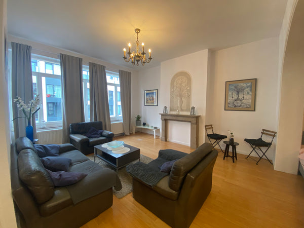 Welcoming spacious 1 bedroom apartment + an additional balcony bed+ folding sofa  Perfectly Located 1bedroom BXL 5 people MAX #3A Entire rental unit vacation rental 714978019098131948