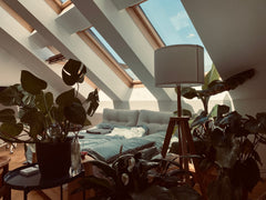 This beautiful and nicely furnished rooftop apartment is very close to the Haupt Austria Urban Jungle / Weekend Getaway Vienna Entire rental unit vacation rental 666902456999328547