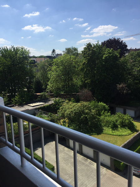 Brussels, Belgium spacious 120m2, terrace & free parking Entire rental unit vacation rental 50323548