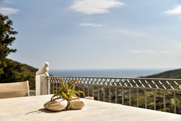 Eos Mystique is filled with traditional Greek and modern elements. All the comfo Gainesville, FL Eos Mystique – a stylish, private, villa Cycladic home vacation rental 35435056
