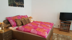 Liebe Gäste, Mitten im 16.Bezirk erwartet euch ein neues, stilvoll eingerichtete Vienna, Austria Ivana Private room in rental unit vacation rental 39222893