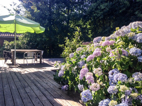 La maison est située dans un endroit très calme avec un chemin de promenade ombr France Maison  proche de Bordeaux et des plages océanes. Entire home vacation rental 19638196