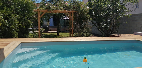 Maison arcachonnaise avec joli jardin arboré au calme, sans vis à vis. Au fond d Bordeaux, France Maison de 130 m² avec piscine. Proche Bordeaux Entire home vacation rental 27284811