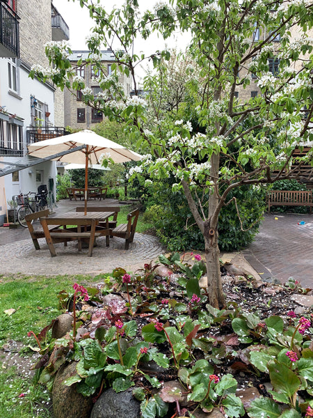 In the middle of a historic green oasis at inner Østerbro, 300m from the lakes,  Copenhagen, Denmark Spacious, authentic 3 rooms close to the lakes Entire rental unit vacation rental 22168917