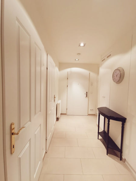 Vienna, Austria Luxurious Penthouse in Vienna's Wine District Entire rental unit vacation rental 41032263