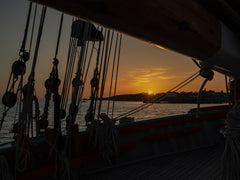 Passez une ou plusieurs nuits à bord de La Nébuleuse pendant le festival "Bordea  Nuit insolite : Voilier - Banette simple n° 9/10 Private room in boat vacation rental 612832540411855954