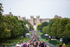 Layover Windsor Private Tour from LHR with Passes to Windsor Castle  Private Tours and Travel Guide Europe London CITY London Destination Tour Europe London CITY London