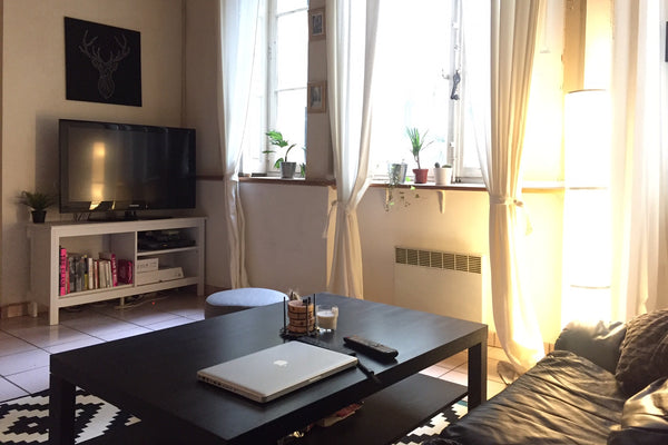 Studio de 26m2, idéalement placé, à deux pas de la place des Terreaux et en plei Landéda, France Charmant studio coeur de Lyon Entire rental unit vacation rental 18461142