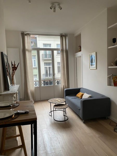Pour un séjour agréable au centre de Bruxelles, à 10 mn à pied de la Grand Place  Beautiful and warm flat in the heart of brussels Entire rental unit vacation rental 566387765400417673