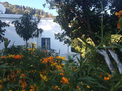 Traditional entire house, perfect for people who love nature and want to relax.< Apikia, Greece Traditional Lemon Tree House Cycladic home vacation rental 25316023