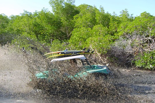 3 Day Private Buggy Tour from Fortaleza to Jericoacoara  Private Tours and Travel Guide America Fortaleza CITY Fortaleza Destination Tour