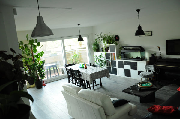 Located between the vibrant flemish area 