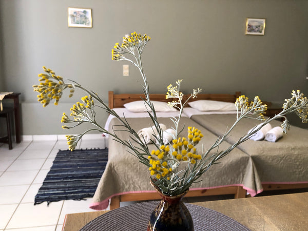 Our place is ideal for couples, solo adventurers, and business travelers.<br />1 Adelianos Kampos, Greece Studio 1 (200m to beach) Entire rental unit vacation rental 16913702