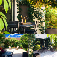 Jolie échoppe typiquement Bordelaise d'environ 100m² avec jardin arboré secteur  Bordeaux, France Échoppe Bordelaise centre ville Private room in townhouse vacation rental 18583369