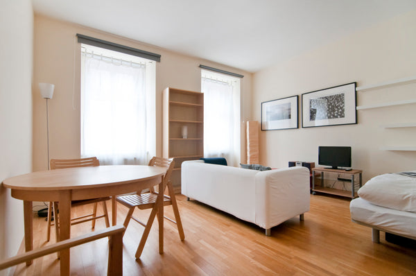 1 bedroom apartment (big main room, big storage room, bathroom, small kitchen) o Vienna, Austria Charming 1BR: central, calm, bright, spacious! Entire rental unit vacation rental 4499243