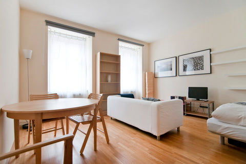 1 bedroom apartment (big main room, big storage room, bathroom, small kitchen) o Vienna, Austria Charming 1BR: central, calm, bright, spacious! Entire rental unit vacation rental 4499243