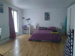 Ideally situated in Lyon (just 30m from Rhone river), you can be anywhere just w Lyon, France Large, quiet and very light studio flat, renovated Entire rental unit vacation rental 16077417