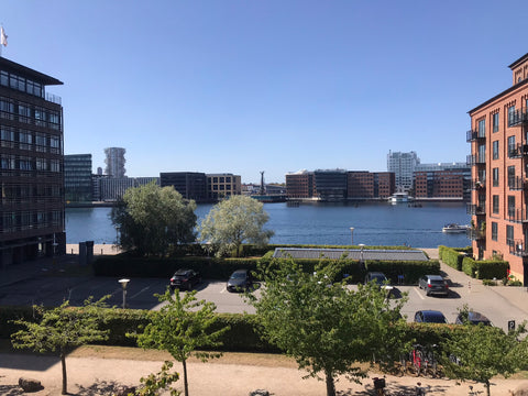 Our spacious apartment is located at Islands Brygge with easy access to the city Copenhagen, Denmark Centrally located apartment with harbour view. Private room in condo vacation rental 684688408879853723