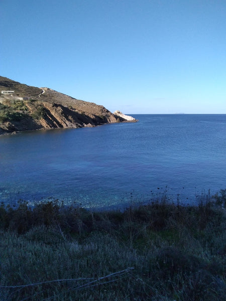 Ο Απόλλωνας είναι ένα μικρό ψαροχώρι περίπου 100 κατοίκων το χειμώνα.<br />Σε μι Greece Balcony to the Aegean 1 Cycladic home vacation rental 47390127