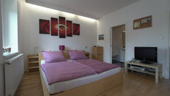 CENTRAL air-con city penthouse studio with elevator, comfortable king size bed a Vienna, Austria MOST CENTRAL city center penthouse Entire condo vacation rental 20020091