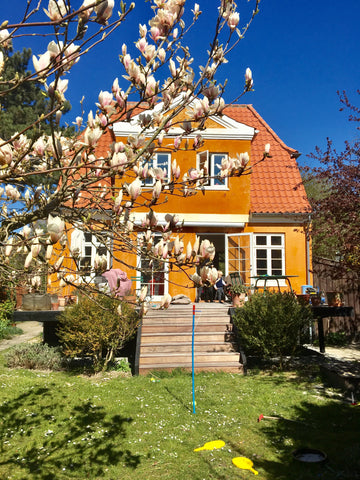Green and quiet neighborhood with a local shopping- and dining area (Valby Tings Frederiksberg, Denmark Charming modernised villa with a beautiful garden Entire villa vacation rental 706381049022858515