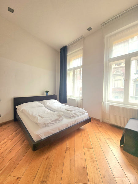 Private apartment.<br />Own Kitchen, Bath room, Living room and Bed room.<br />- Prague, Czechia Perfect location Apatment S201 Entire condo vacation rental 42161919
