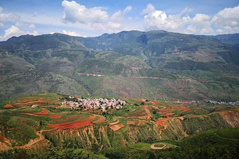 1 Day Dongchuan Red Land Photography Private Tour from Kunming  Private Tours and Travel Guide Asia Shanghai CITY Kunming Destination Tour Asia Shanghai CITY Kunming