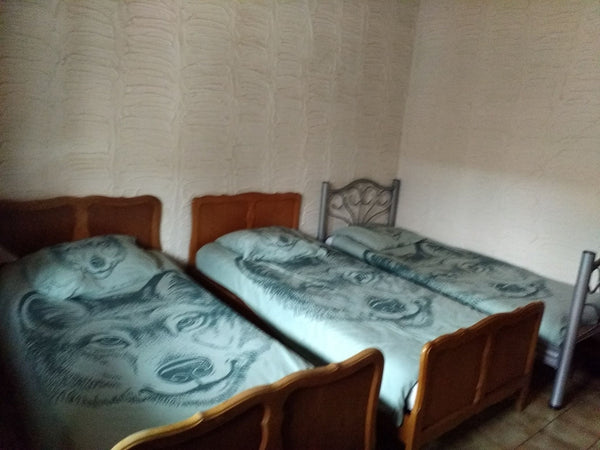 Best place 2 Shared room in rental unit vacation rental 41030698