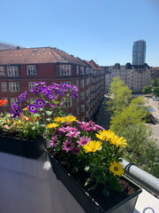 The flat is oriented east / west with the sun in the bedroom in the morning and  Copenhagen, Denmark Beautiful sunny 2 rooms flat Entire rental unit vacation rental 50110339