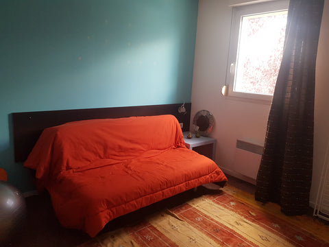 Je vis dans un appartement qui comporte 2 chambres, dont une que je peux partage Bordeaux, France Chambre pour 2, Bordeaux métropôle Private room in condo vacation rental 38428373