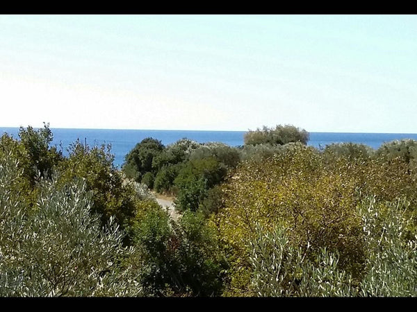 This beautiful cottage is on the east coast of the village of Paleochora Crete.   Amazing Cottage close from the sea - Crete Farm stay vacation rental 48629774