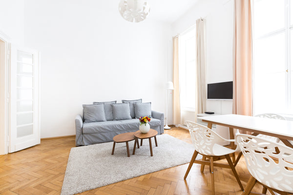 The apartment consists of:<br /><br />A beautifully decorated living room, that  Vienna, Austria Fabulous City Center Apartment - Apt 19 Entire rental unit vacation rental 19375997