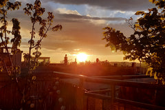 the apartment is located 5-8min walk frome the main trainstation. and the neares Vienna, Austria rooftop 5min from central station Shared room in rental unit vacation rental 53054191