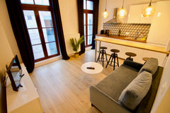 This wonderful appartement is located close to the prestigious Martyrs square in Brussels, Belgium ★ 1 Bedroom Apartment in the Heart of Brussels ★ Entire rental unit vacation rental 44564968