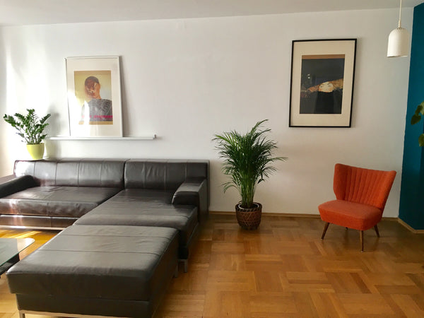 spacious ad friendly apartment in the 5th district<br /><br />2 bed-rooms and, s  5th district, spacious Entire rental unit vacation rental 19652501