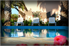 Our rooms are in a green peaceful environment with great view, wonderful garden  Chania, Greece Trevizan Apartments (room 3) Entire rental unit vacation rental 13948877
