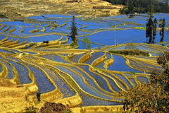 4days private tour Stone forest Yuanyang Terrace Jianshui old town from Kunming  Private Tours and Travel Guide Asia Shanghai CITY Kunming Destination Tour Asia Shanghai CITY Kunming