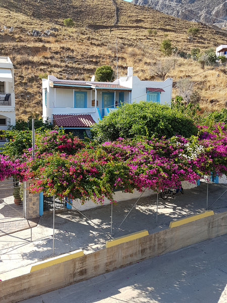 Our house consists of 3 studios for 2 persons each.It is located very close to b Emporios, Greece Sevasti Studios Private room in rental unit vacation rental 26614737