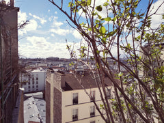 A 2 minutes à pieds du métro, nous vous accueillons dans un bel appartement nich Paris, France Bel appartement lumineux avec balcon vue sur Paris Entire rental unit vacation rental 24316198