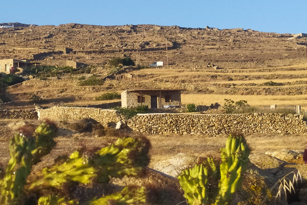 The house is ONLY FOR YOU. No contact with other guests or housekeeping;  locate Greece Mykonos Independent house Lia Cycladic home vacation rental 35590120