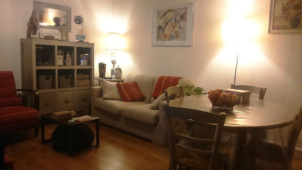 Mon logement : 34 m2 propres et  entretenus (1 chambre, 1 séjour/cuisine, 1 sall Bordeaux, France Petite maison fonctionnelle avec jardin privatif Tiny home vacation rental 9688286