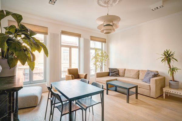 Right in the historic heart of Antwerp, we host a fully equipped, ultra renovate Antwerp, Belgium Greenplace Lodge Apartment in Heart of Antwerp S3 Entire rental unit vacation rental 41148531